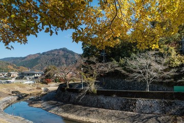 Fototapeta na wymiar 京都、宝ヶ池の高野川から比叡山が見える秋景色