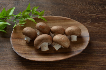 マッシュルーム