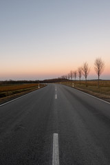 Straight road with trees without leafs on the side during a winter sunset in Germany