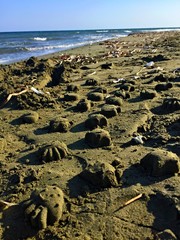 aerial view of beach