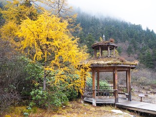 Huanglong National Park is a scenic and historic interest area in the northwest part of Sichuan,...