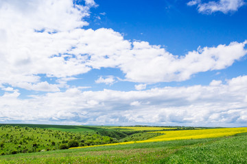 spring yellow field in the village and beautiful sky