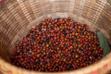 Ripe red peppers before drying in plates of reed. Agriculture in tropical countries. Agriculture. Spices.