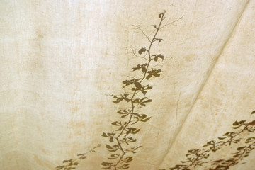 Fototapeta premium vintage background with flowers and leaves. Texture design, bright poster, banner background. Floral wallpaper. 
