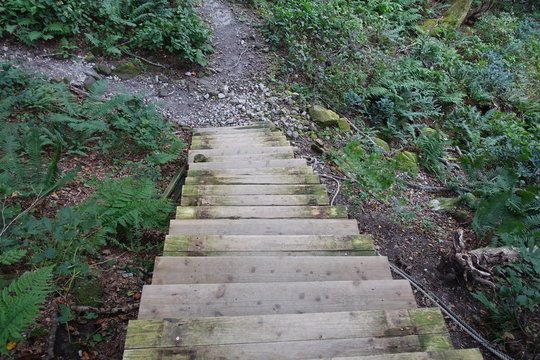 Landscape of Daisen mountain trails (Japanese mountain)