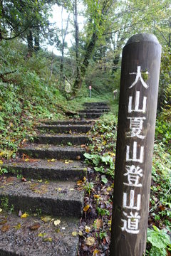 Landscape of Daisen mountain trails (Japanese mountain)