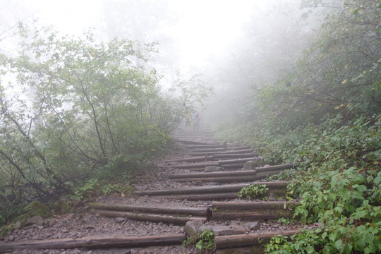 Landscape of Daisen mountain trails (Japanese mountain)