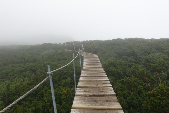Landscape of Daisen mountain trails (Japanese mountain)