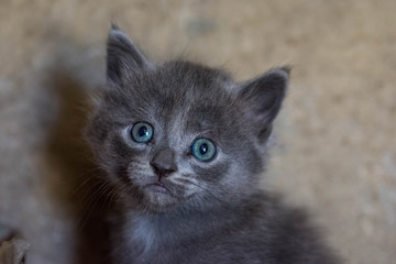 Indissociable du regard, la tendresse...!