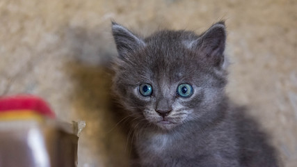 D&eacute;couvre la vie...!