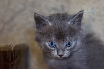 L'&eacute;tonnement, voil&agrave; le secret...!