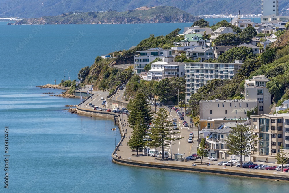 Wall mural Aerial shot of the buildings by the coastline captured in Wellington, New Zealand