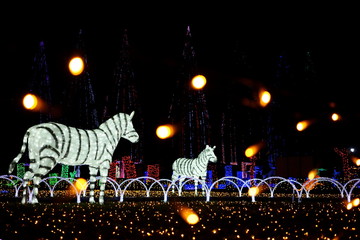 闇夜に現れたライトアップのしまうま