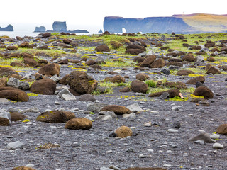 View on black Reynisfjara beach with impressive basalt columns in Southern Iceland in summer