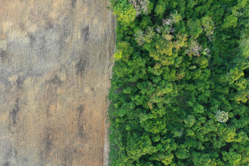 Aerial drone photo of logging and deforestation