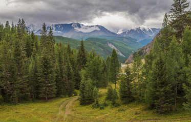 Mountain landscape, summer green forests and snow-capped peaks. Gloomy sky, low clouds.