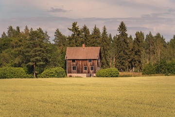 Abandoned house on the Swedish countryside in morning sunlight