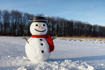 Obraz premium Funny snowman in stylish black hat and red scalf on snowy field. Merry Christmass and happy New Year!