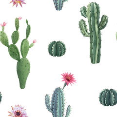 Prachtige vector aquarel cactus naadloze patroon. Handgetekende stockillustraties. Witte achtergrond.