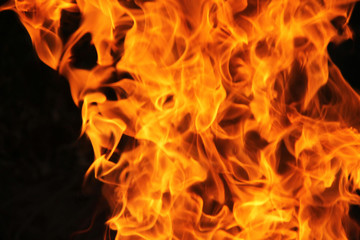 Fototapeta premium blaze fire flame texture background