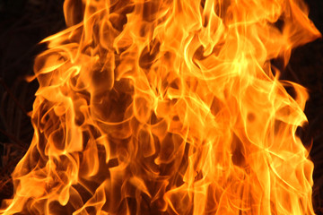 Fototapeta premium blaze fire flame texture background