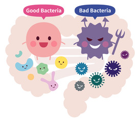 善玉菌と悪玉菌