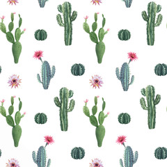 Beautiful vector watercolor cactus seamless pattern. Hand drawn stock illustrations. White background.