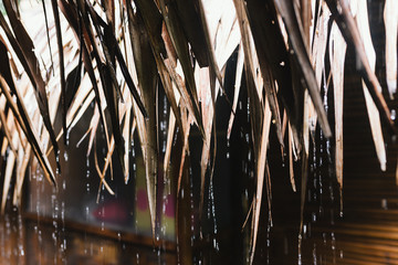 Rain pouring down bamboo roof in thailand