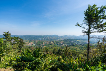 Fototapeta premium beautiful blue sky high peak mountains mist fog wildlife green forest at Khao Koh Phu Tub Berk Phetchabun Thailand guiding idea long weekend for backpacker camping campfire relaxing hiking 