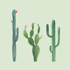 Foto op Canvas Beautiful three vector watercolor cactus hand drawn illustrations set. Transparent background. Isolated objects. © zenina