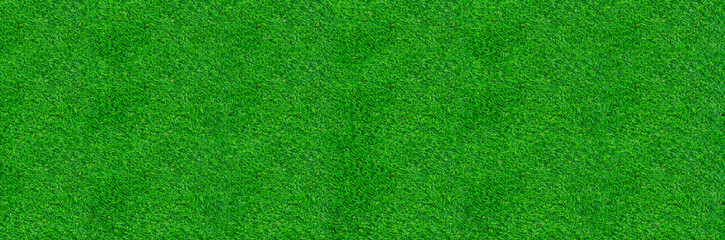 Obraz na płótnie Canvas Green grass pattern and texture for background. Close-up image. 