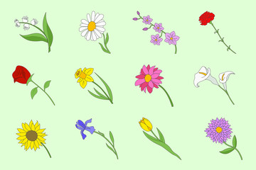Flower Icons set - Vector color symbols of rose, tulip, chamomile, carnation, iris, callai, orchid, narcissus, sunflower, chrysanthemum and astra for the site or interface