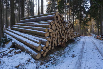 Gelagertes Brennholz im Taunus im Winter