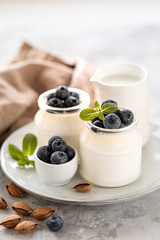 Non-dairy alternative. Vegetable yogurt in jars on a white background. Almond cream in a glass jar and fresh blueberry on a light plate and almond seeds. Healthy eating concept. Copy space for text