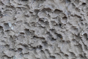Close Up Gray Concrete Texture