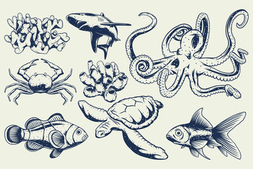 Isolated set of illustrations of a shark, little fish, corals, octopus and turtle.