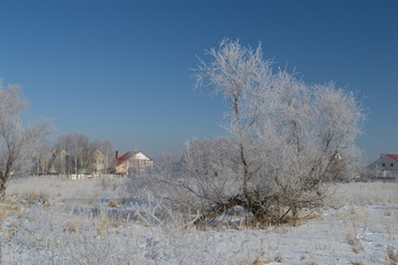 Winter landscape in forest and fields