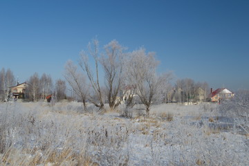 Winter landscape in forest and fields