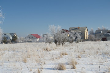 Winter landscape in forest and fields