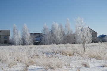 Winter landscape in forest and fields