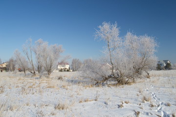 Winter landscape in forest and fields