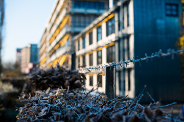 Gefrorener Stacheldraht vor eine Bürogebäude
