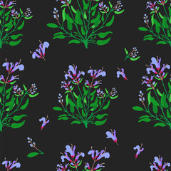 Seamless Pattern with Common Sage and its Parts