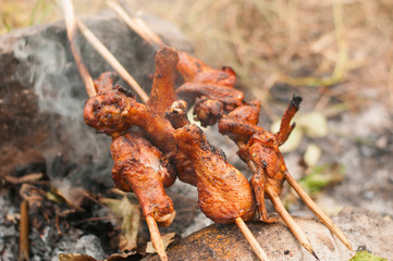 Closeup of a barbecue grill with drumstick
