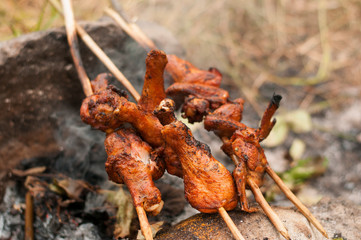 Closeup of a barbecue grill with drumstick