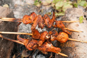 Closeup of a barbecue grill with drumstick