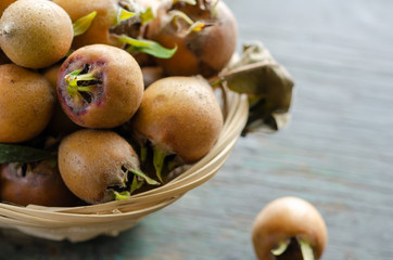 Common Medlars (Mespilus germanica), fruit