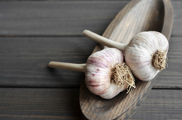 Dry fresh organic garlic bulbs on wooden plate over dark wooden background