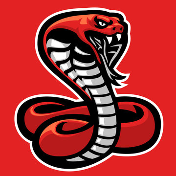 mascot of aggressive cobra snake