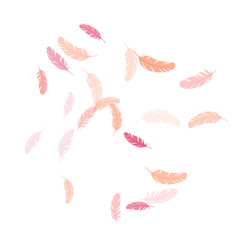 Obraz premium Falling feather elements soft vector design.